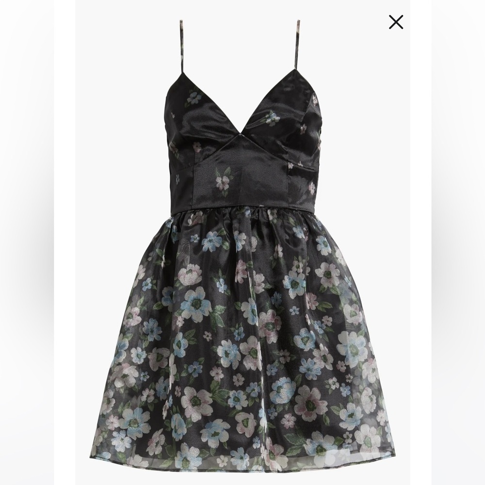 NWT Lulus Isabel Floral Print Organza Minidress - Picture 5 of 7